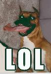 loldog.jpg